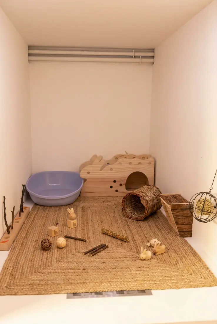 Chambre Standard Lapin